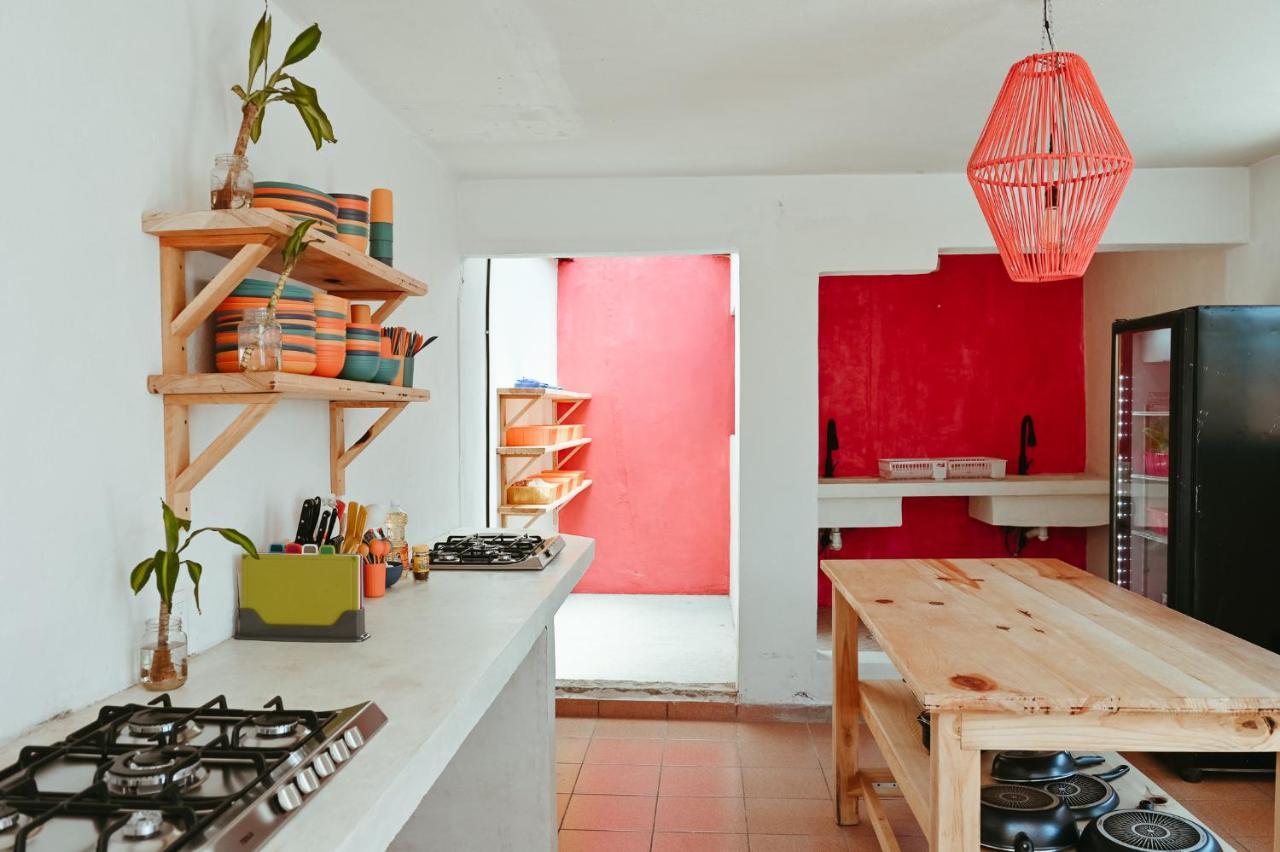 Maka Hostel Oaxaca المظهر الخارجي الصورة